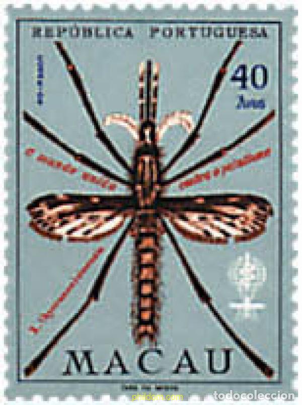 Sellos: 29306 MNH MACAO 1962 INSECTOS