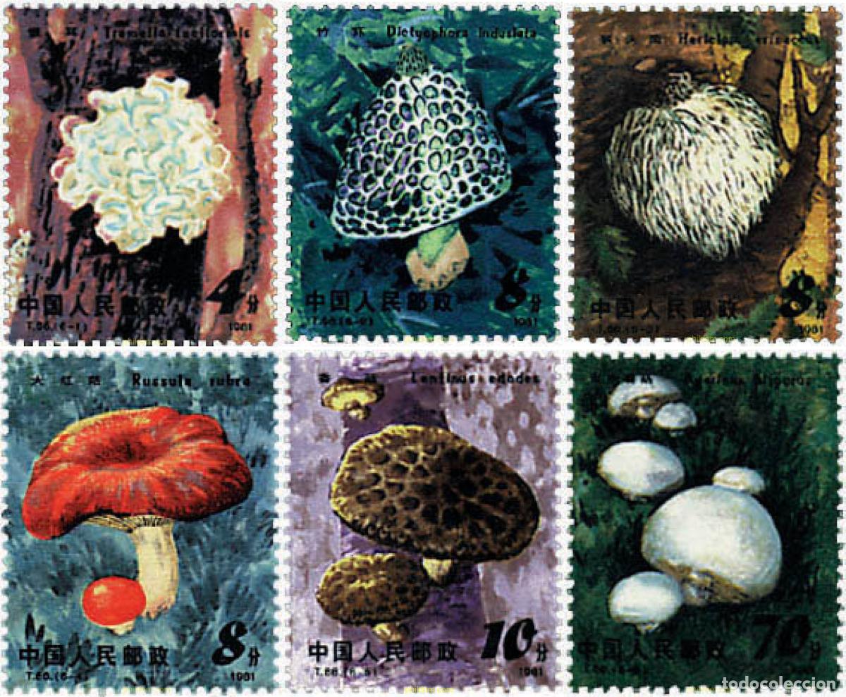 Sellos: 36206 MNH CHINA. Rep&uacute;blica popular 1981 SETAS