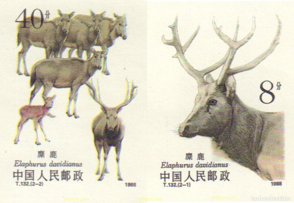 Sellos: 20166 MNH CHINA. Rep&uacute;blica popular 1988 FAUNA