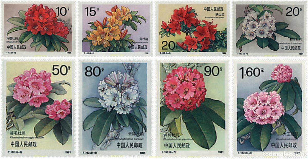 Sellos: 82402 MNH CHINA. Rep&uacute;blica popular 1991 RODODENDRONS DE CHINA