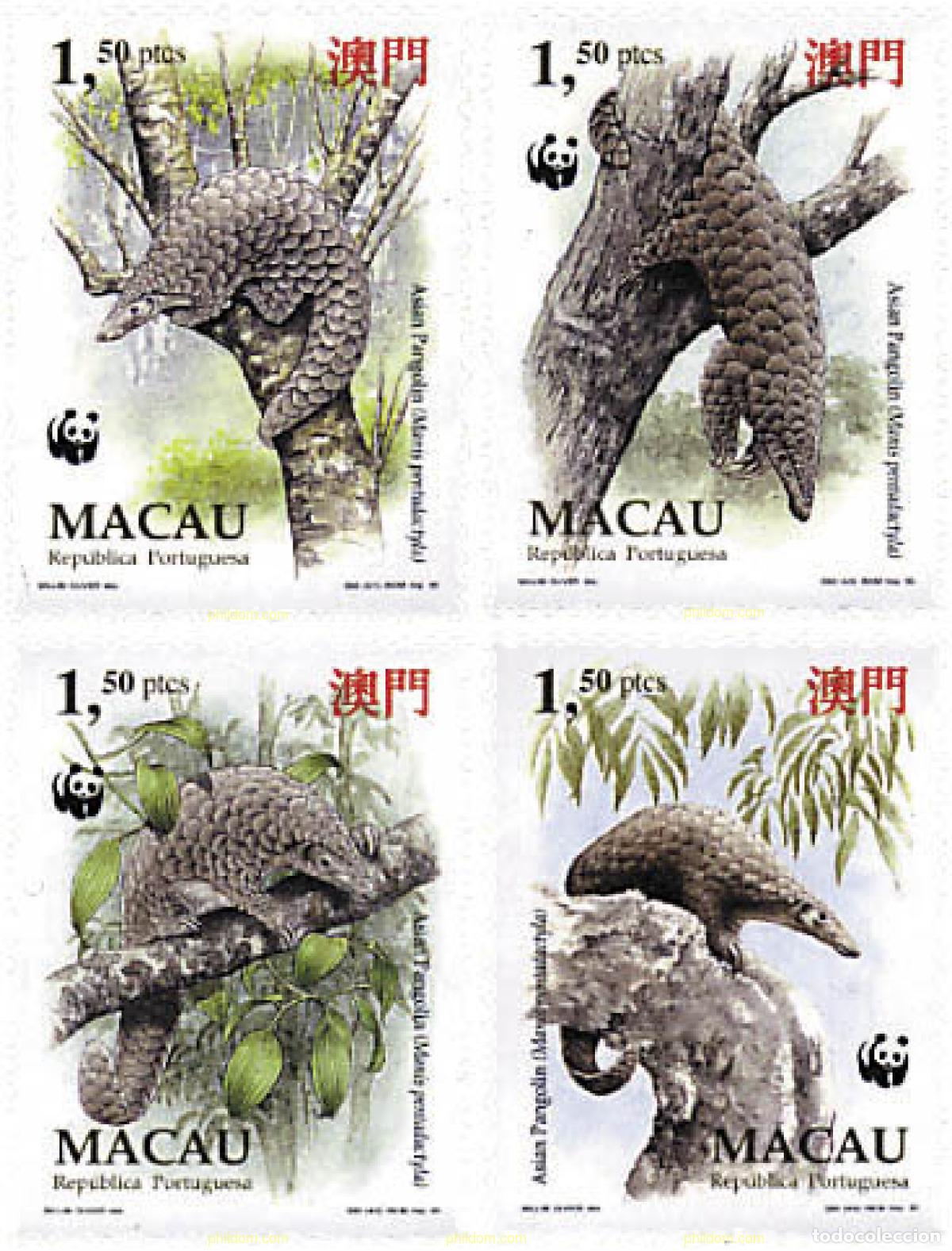 Sellos: 74135 MNH MACAO 1995 PANGOLIN CHINO