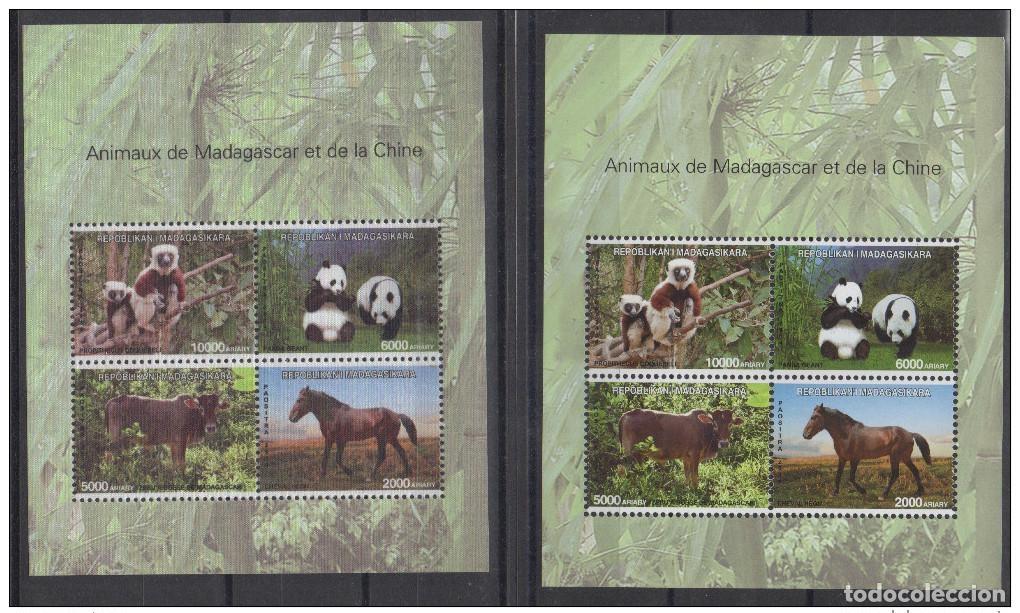Sellos: Madagascar 2014 China SILK+ NORMAL block Wildlife Panda Horse