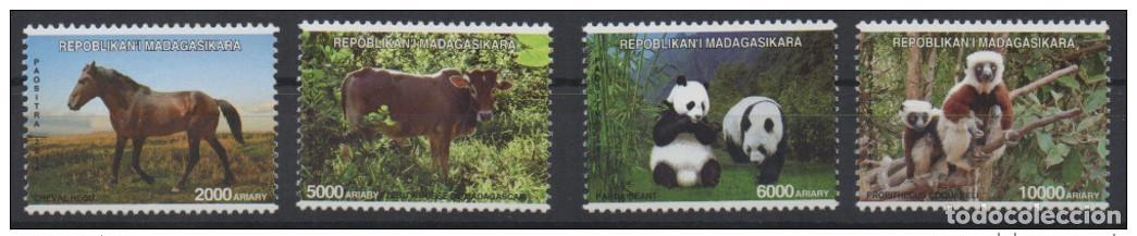Sellos: Madagascar 2014 Mi. 2678x/2681x Edici&oacute;n conjunta China juego de 4 ejemplares Fauna Panda Horse