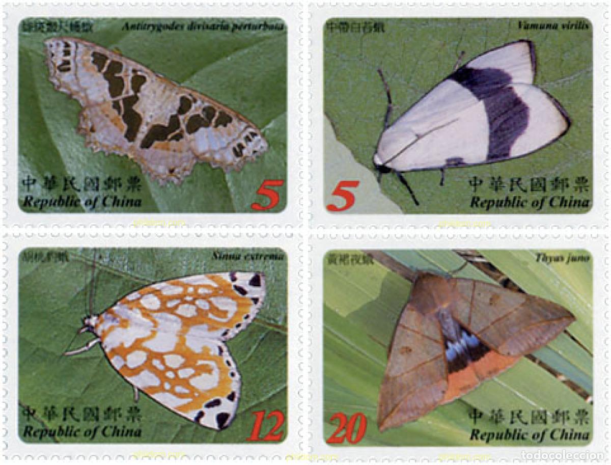 Sellos: 143481 MNH CHINA. FORMOSA-TAIWAN 2003 MARIPOSAS NOCTURNAS