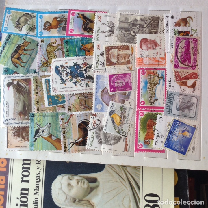 Sellos: Colecci&oacute;n de sellos. - Foto 12