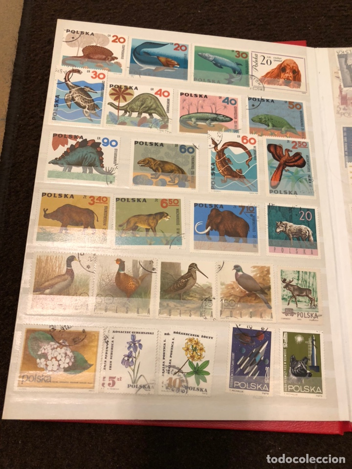 Sellos: Colecci&oacute;n de sellos - Foto 143