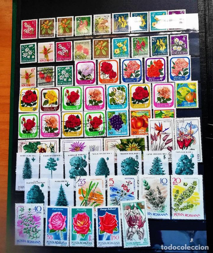 Sellos: Coleccion Tem&aacute;tica ..Flora - Foto 2