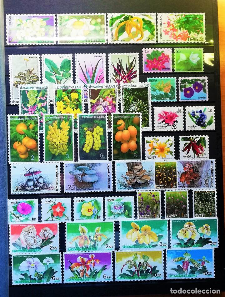 Sellos: Coleccion Tem&aacute;tica ..Flora - Foto 3