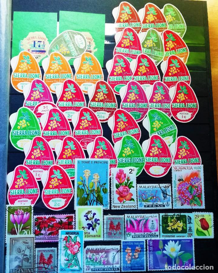 Sellos: Coleccion Tem&aacute;tica ..Flora - Foto 5