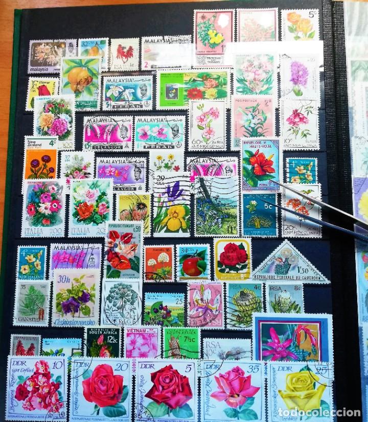 Sellos: Coleccion Tem&aacute;tica ..Flora - Foto 6