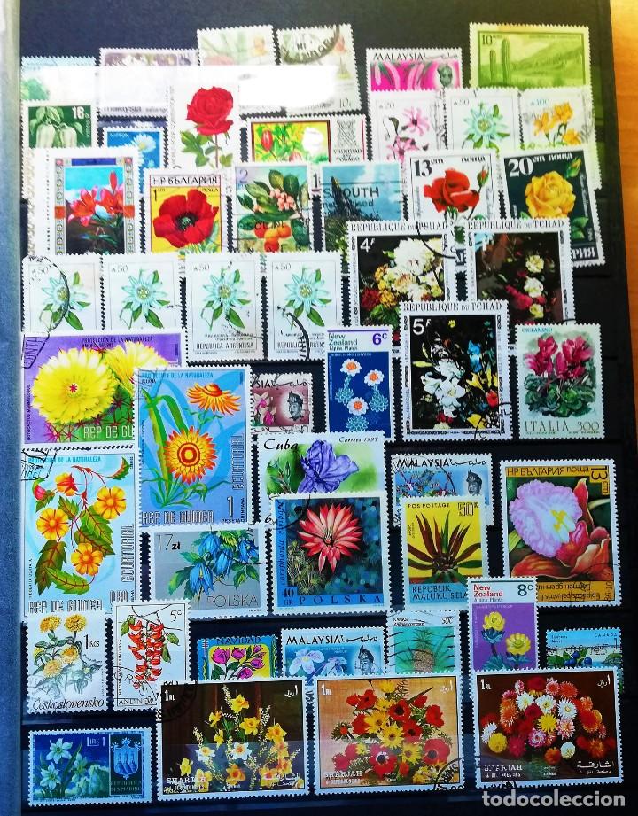 Sellos: Coleccion Tem&aacute;tica ..Flora - Foto 7
