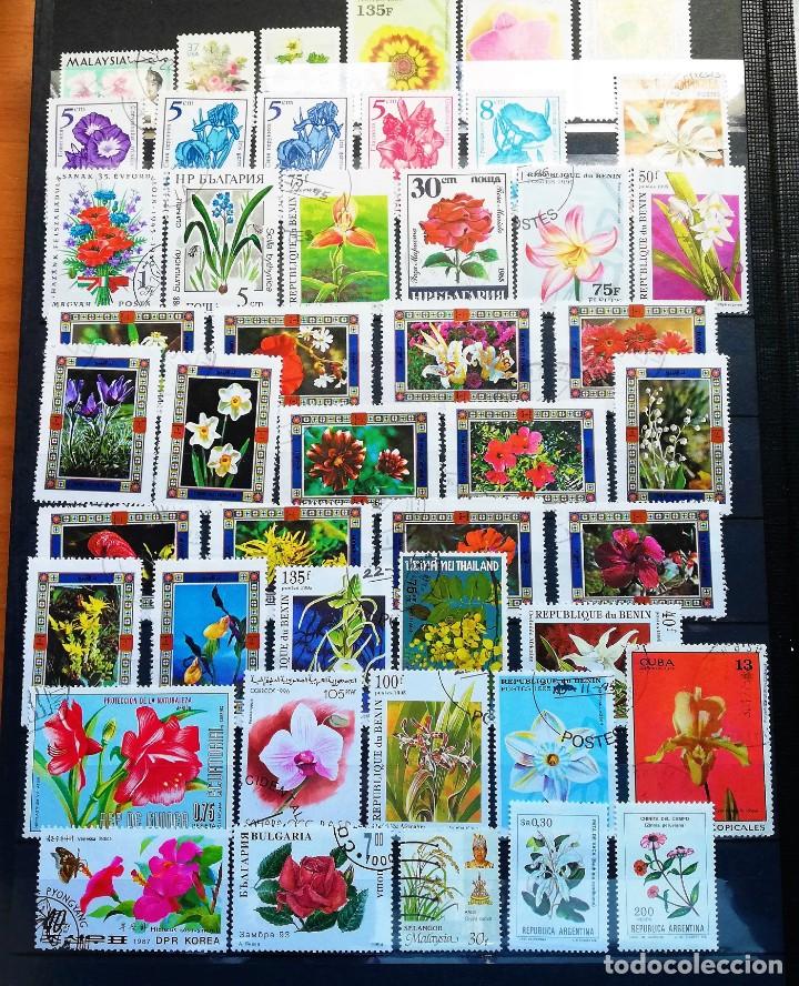 Sellos: Coleccion Tem&aacute;tica ..Flora - Foto 8