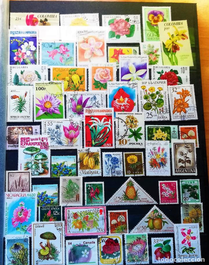 Sellos: Coleccion Tem&aacute;tica ..Flora - Foto 9
