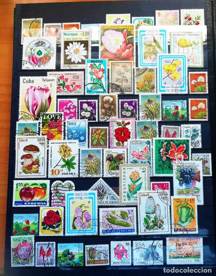 Sellos: Coleccion Tem&aacute;tica ..Flora - Foto 10