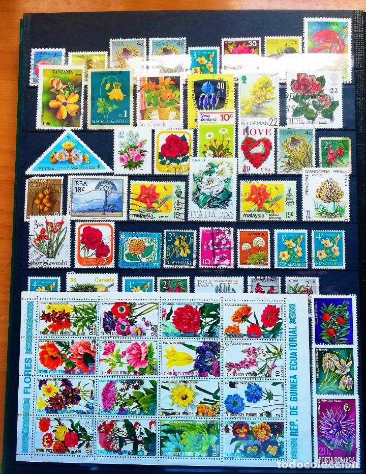Sellos: Coleccion Tem&aacute;tica ..Flora - Foto 11
