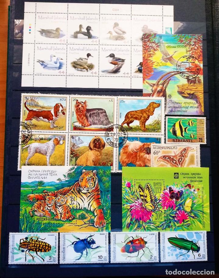 Sellos: Colecci&oacute;n Tem&aacute;tica ..Fauna - Foto 1