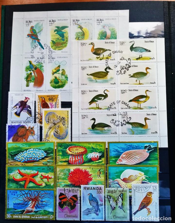 Sellos: Colecci&oacute;n Tem&aacute;tica ..Fauna - Foto 3