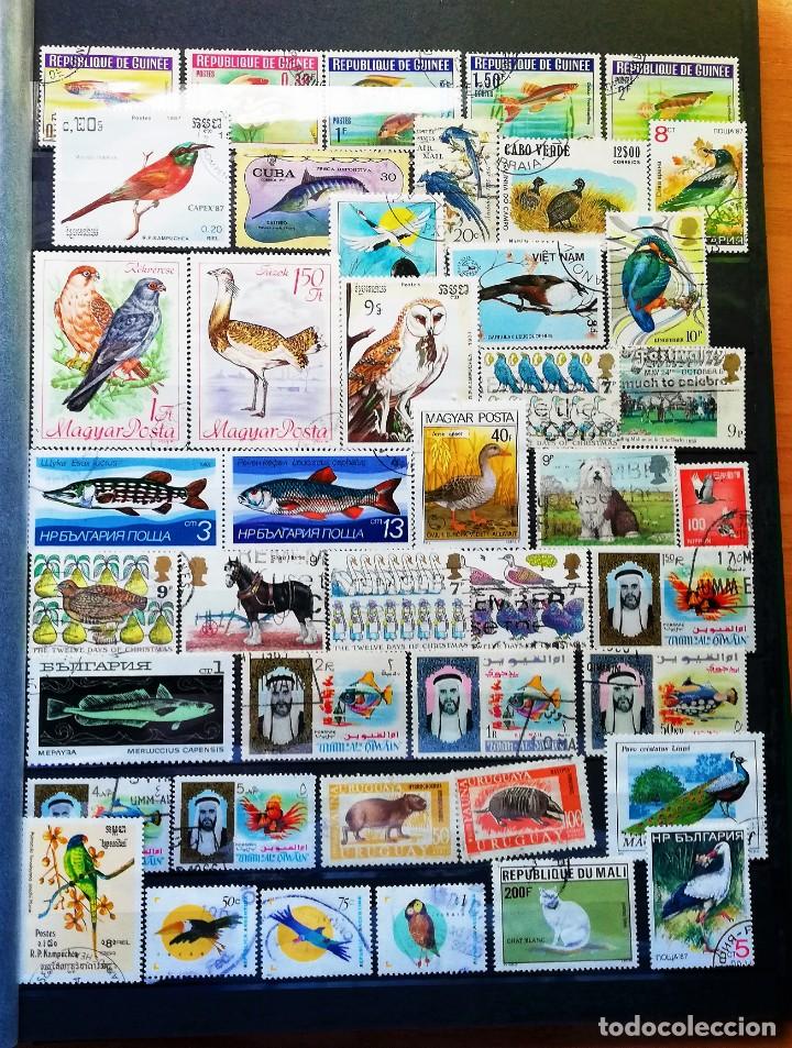 Sellos: Colecci&oacute;n Tem&aacute;tica ..Fauna - Foto 4