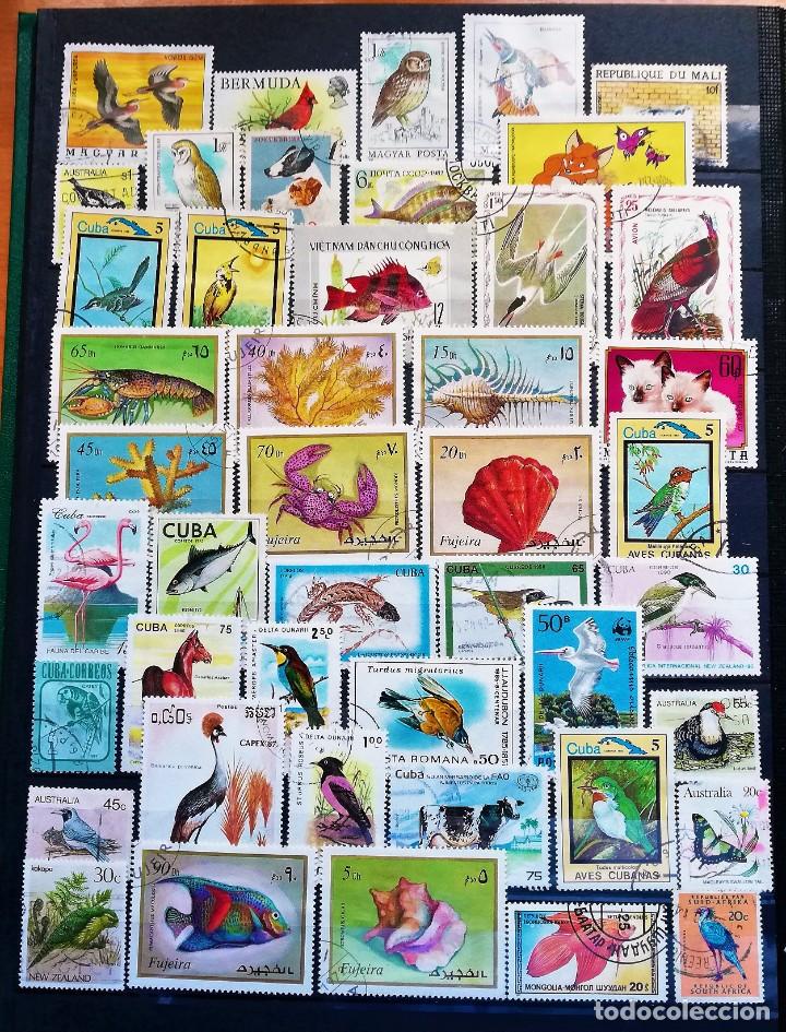 Sellos: Colecci&oacute;n Tem&aacute;tica ..Fauna - Foto 5