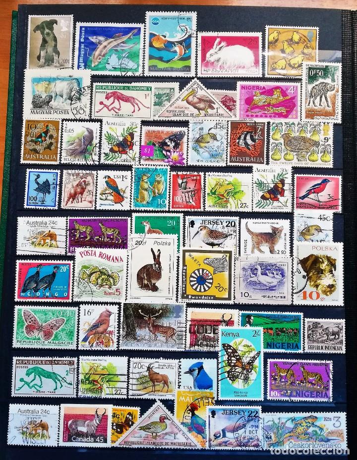 Sellos: Colecci&oacute;n Tem&aacute;tica ..Fauna - Foto 6