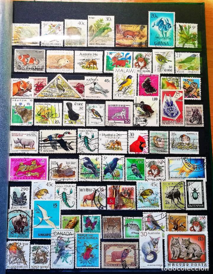 Sellos: Colecci&oacute;n Tem&aacute;tica ..Fauna - Foto 7
