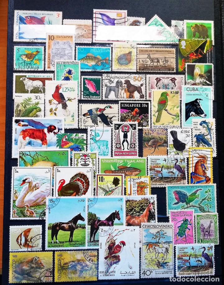 Sellos: Colecci&oacute;n Tem&aacute;tica ..Fauna - Foto 8