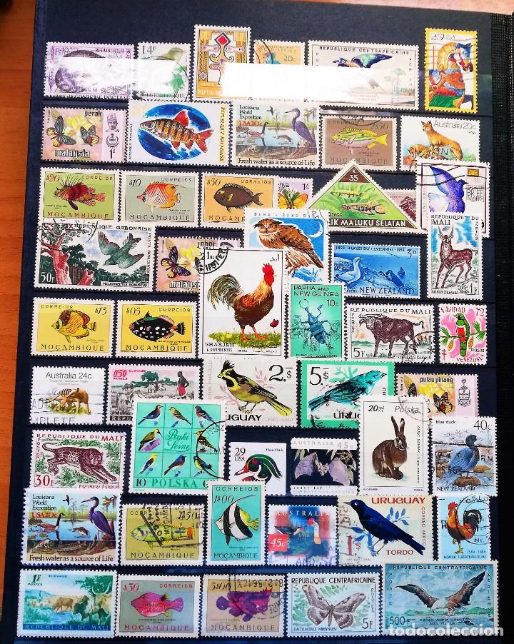 Sellos: Colecci&oacute;n Tem&aacute;tica ..Fauna - Foto 9