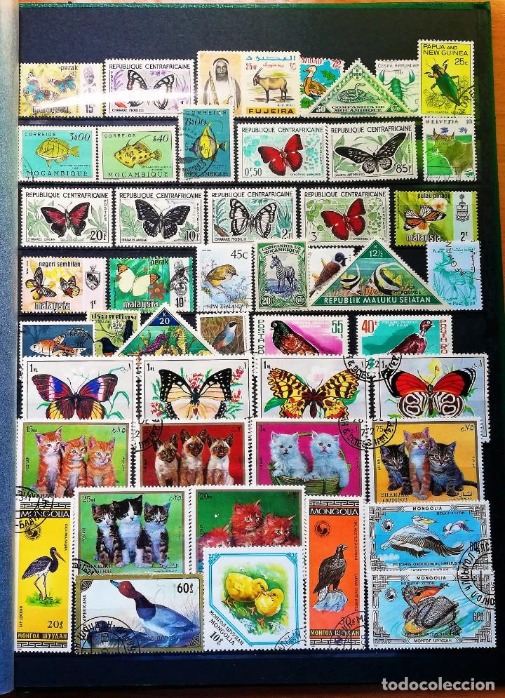 Sellos: Colecci&oacute;n Tem&aacute;tica ..Fauna - Foto 10