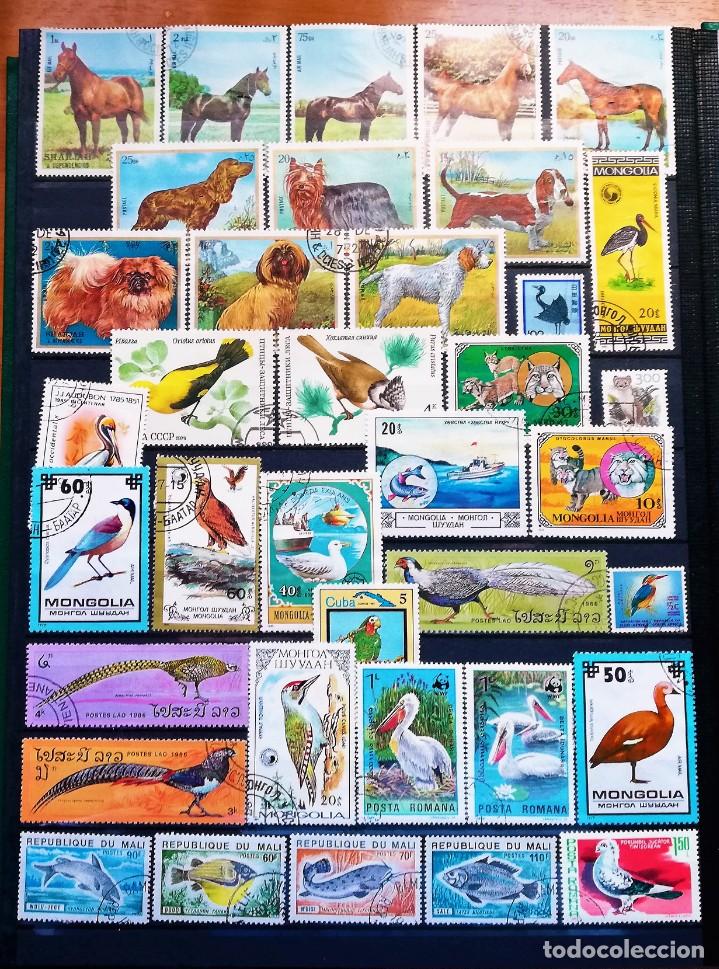 Sellos: Colecci&oacute;n Tem&aacute;tica ..Fauna - Foto 11