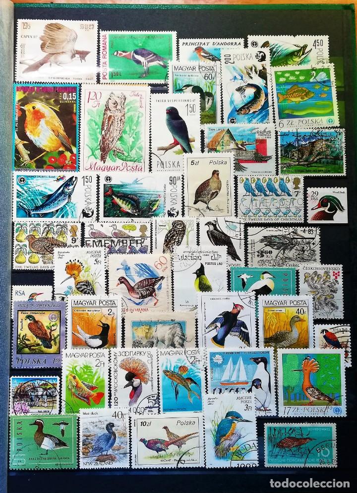 Sellos: Colecci&oacute;n Tem&aacute;tica ..Fauna - Foto 12