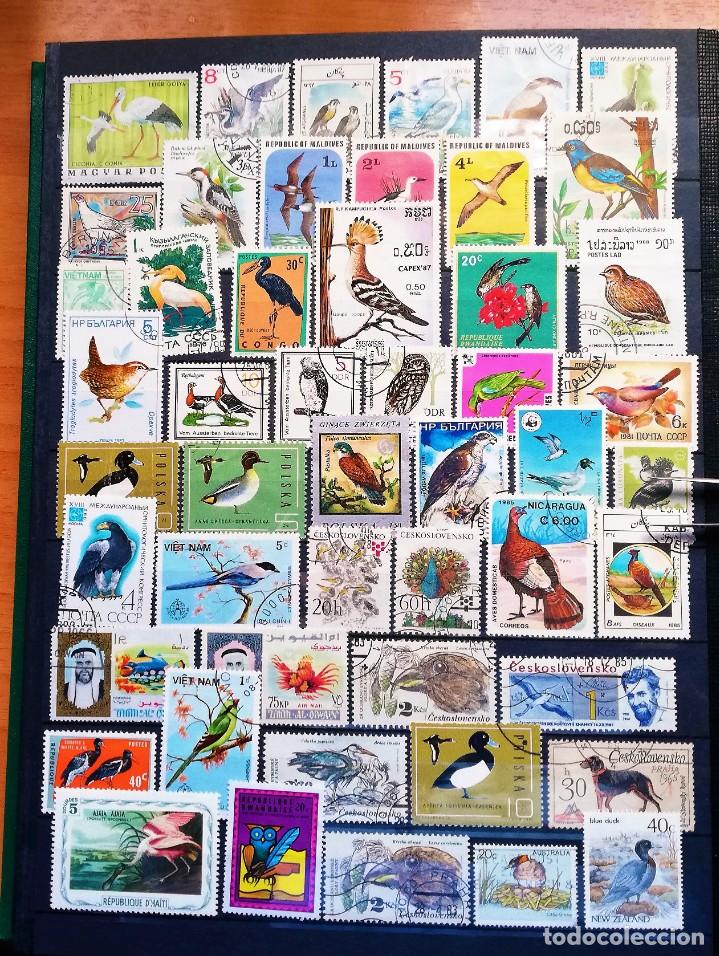 Sellos: Colecci&oacute;n Tem&aacute;tica ..Fauna - Foto 13