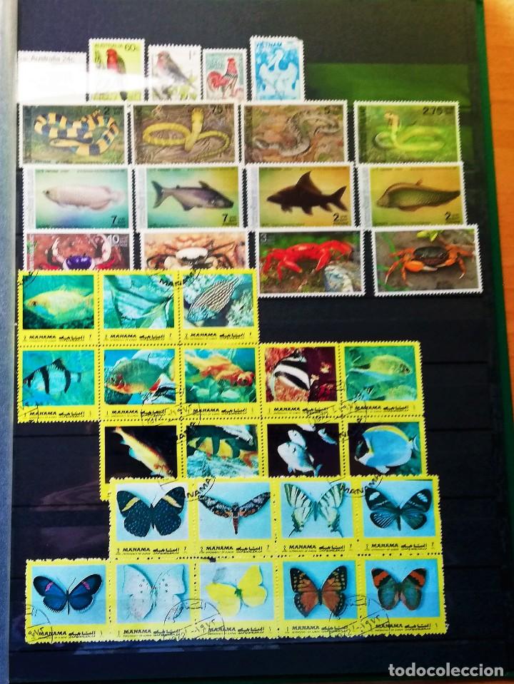 Sellos: Colecci&oacute;n Tem&aacute;tica ..Fauna - Foto 14