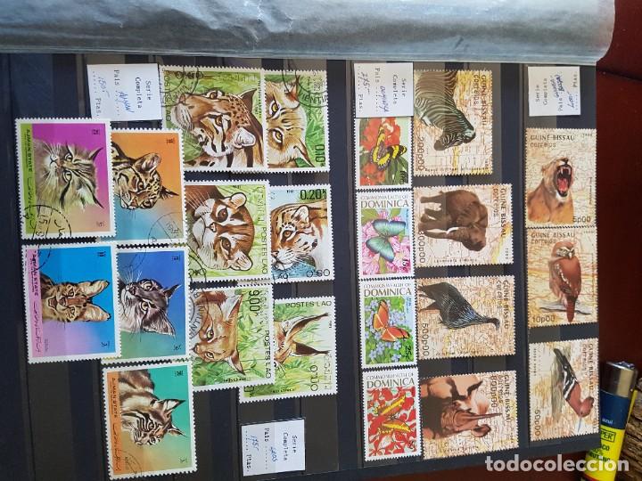 Sellos: Album de sellos - Foto 22