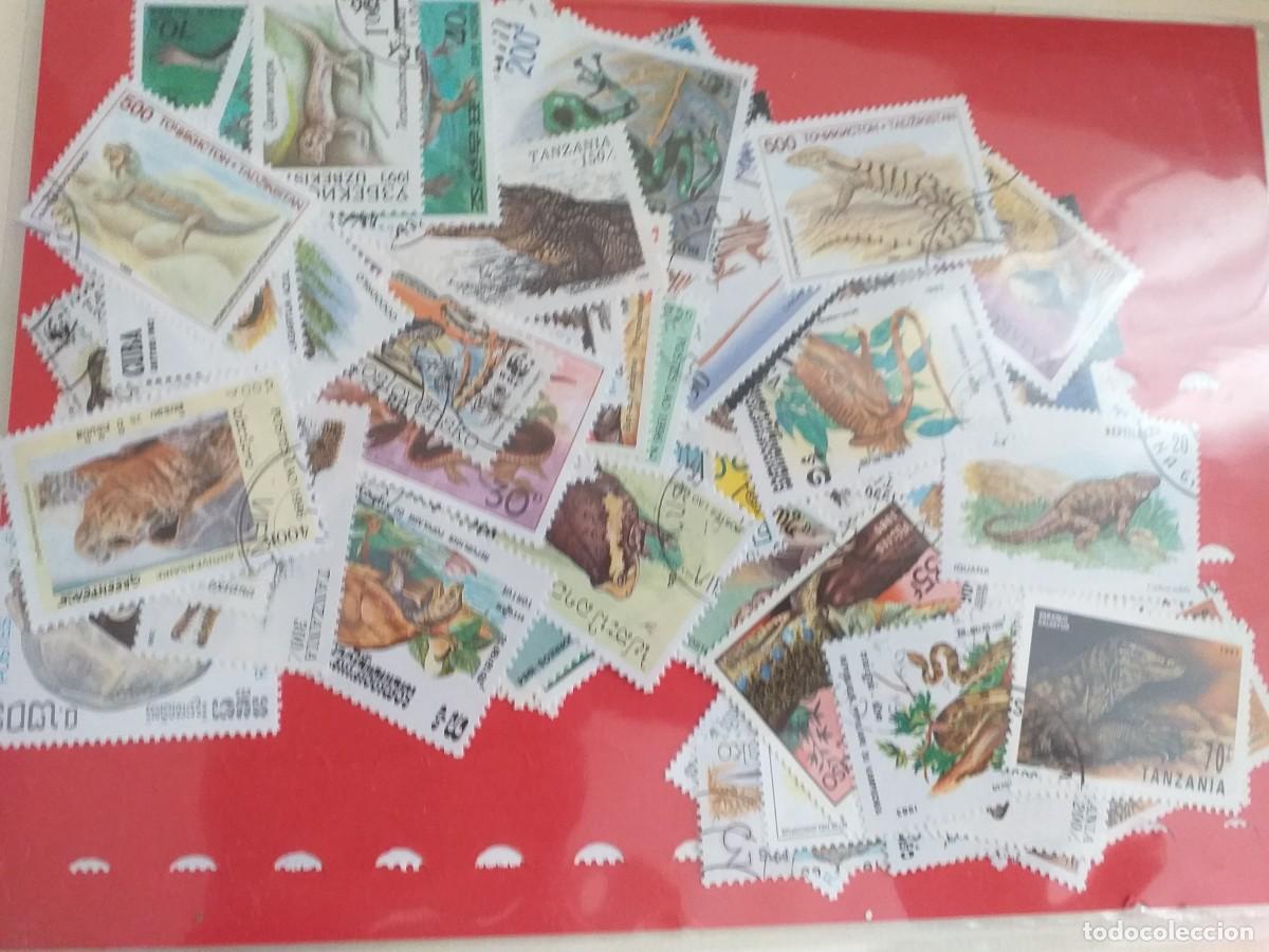 Sellos: 100 sellos tem&aacute;ticos reptiles - Foto 2