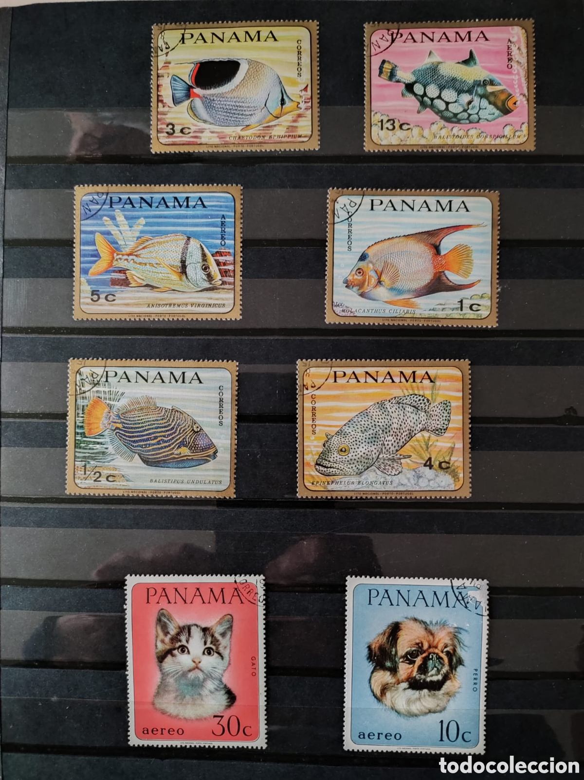 Sellos: Colecci&oacute;n de sellos - Foto 4