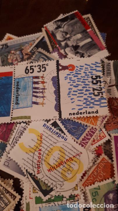 Sellos: HOLANDA &deg; lote de sellos. - Foto 5