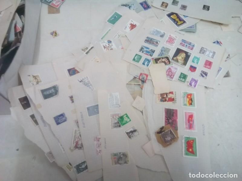 Sellos: LOTE DE CIENTOS DE SELLOS PARA CATALOGAR , VER - Foto 12