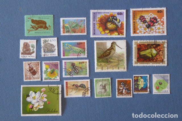 Sellos: animales: aves, insectos, etc - Foto 2