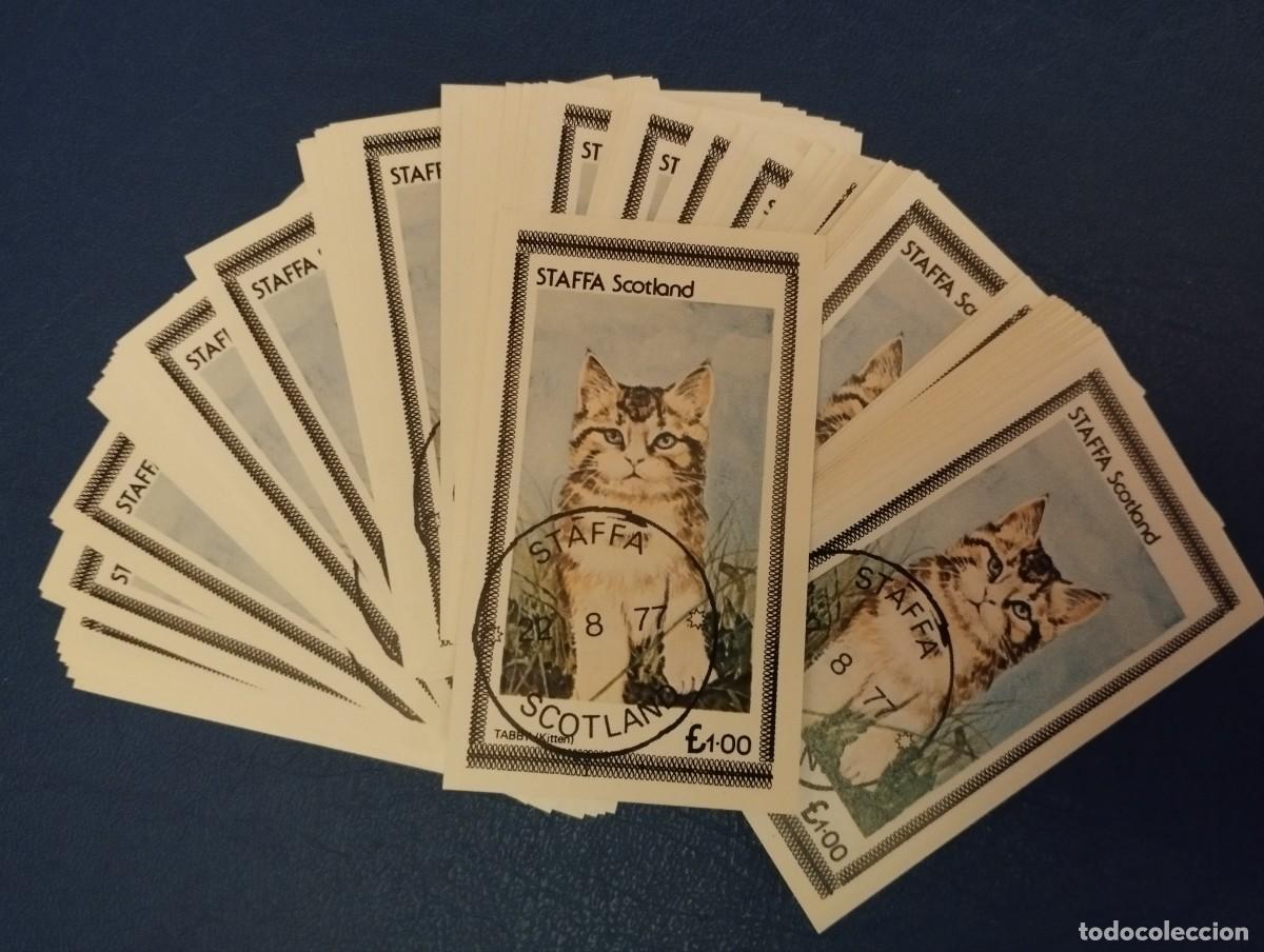 Sellos: 100 HOJAS BLOQUE GATO - Foto 1
