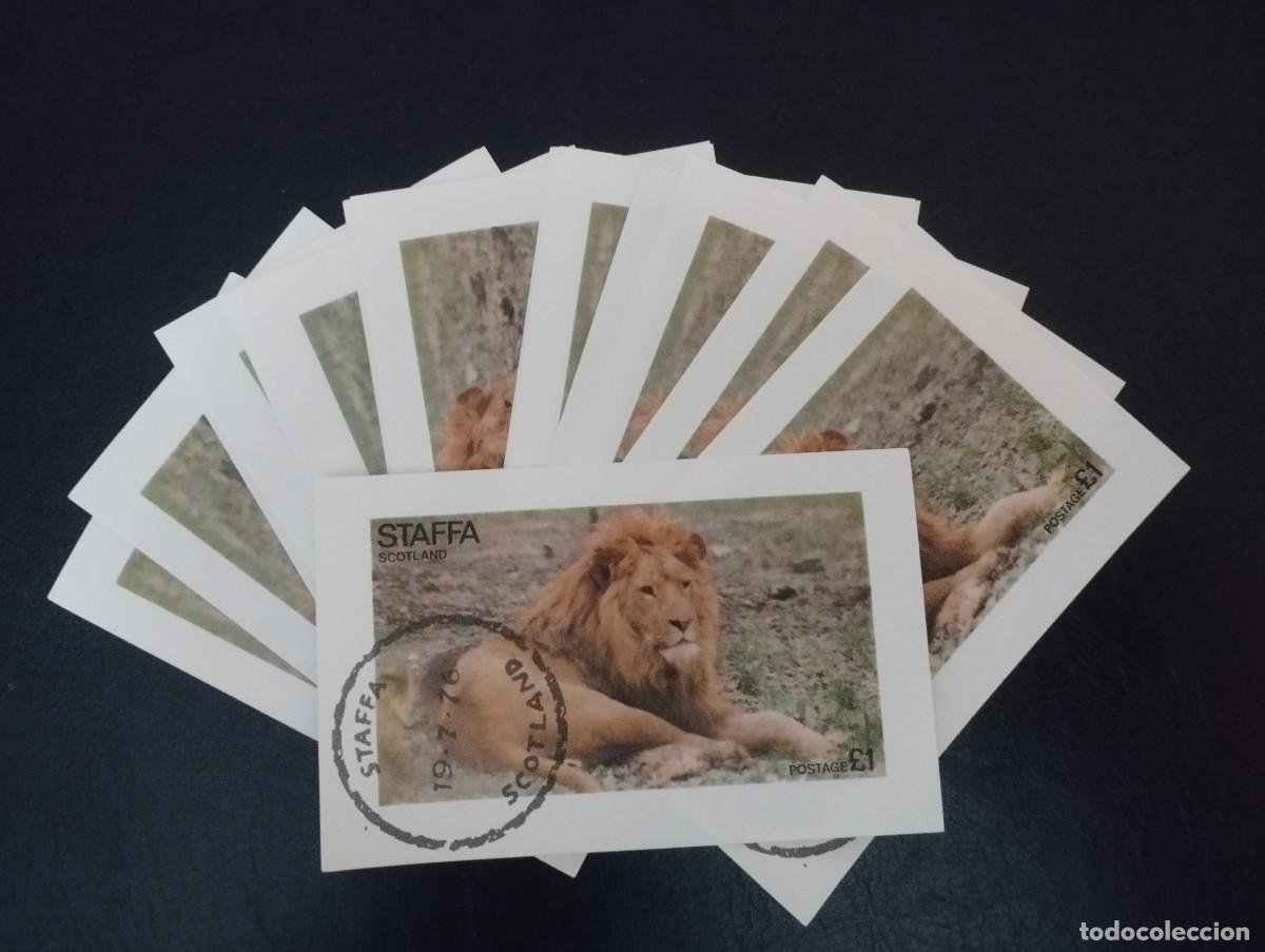 Sellos: 100 HOJAS BLOQUE TEMATICA FAUNA - Foto 1
