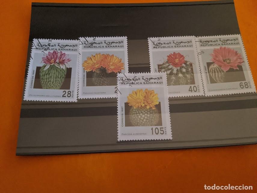 Sellos: COLECCI&Oacute;N SELLOS TEMA CACTUS - Foto 1
