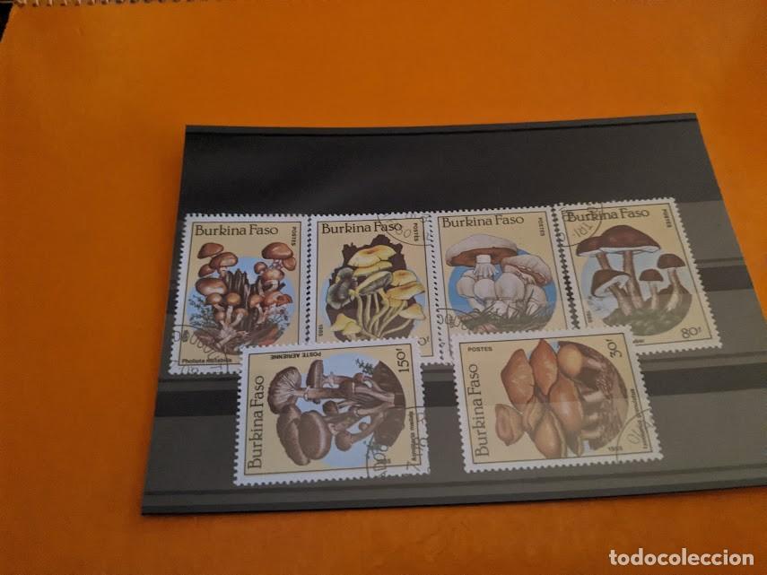 Sellos: COLECCI&Oacute;N SELLOS TEMA SETAS - Foto 1