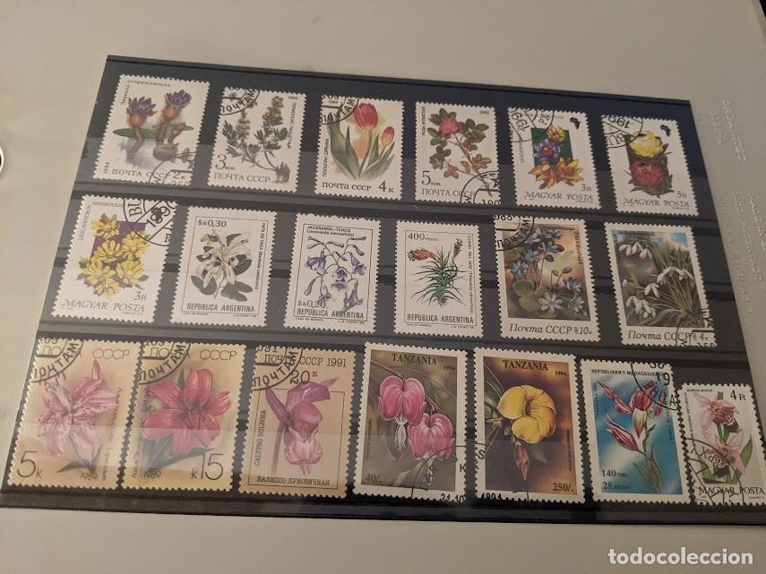 Sellos: COLECCI&Oacute;N DE SELLOS TEMA FLORES - Foto 1
