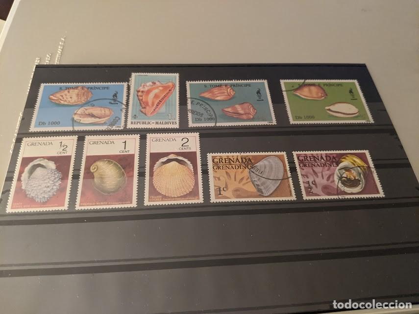 Sellos: COLECCI&Oacute;N DE SELLOS TEMA CARACOLAS - Foto 1