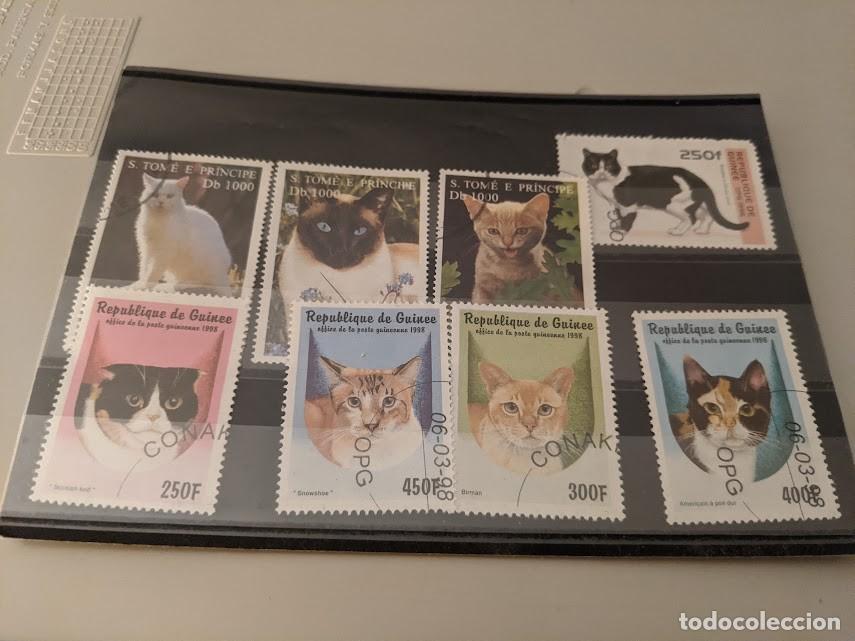 Sellos: COLECCI&Oacute;N SELLOS TEMA GATOS - Foto 1