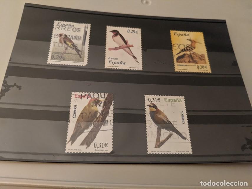 Sellos: COLECCI&Oacute;N SELLOS TEMA P&Aacute;JAROS - Foto 1