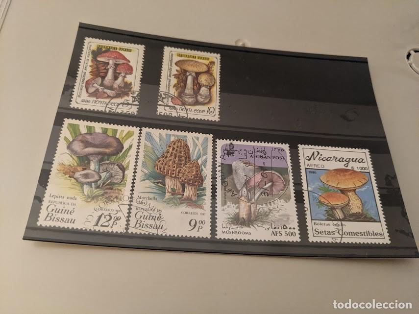 Sellos: COLECCI&Oacute;N SELLOS TEMA SETAS - Foto 1