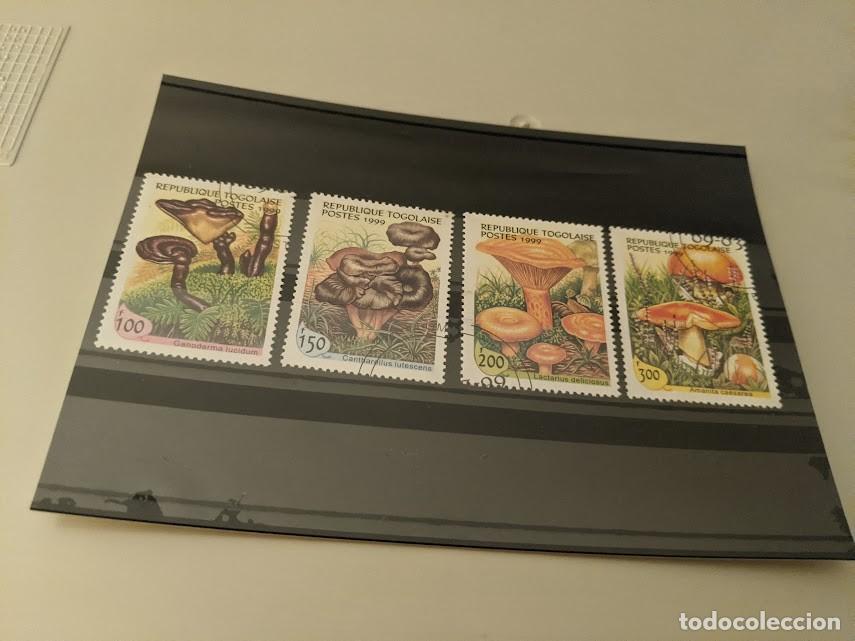 Sellos: COLECCI&Oacute;N SELLOS TEMA SETAS - Foto 1
