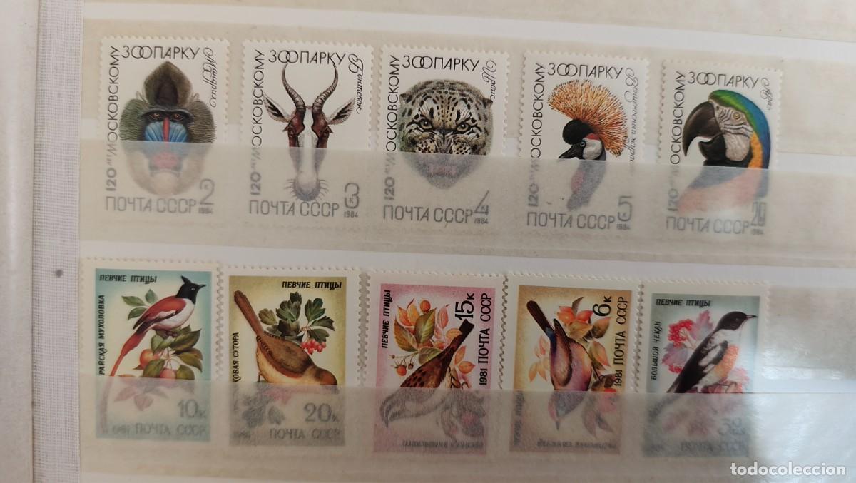 Sellos: LOTE DE 10 SELLOS NUEVOS CCCP RUSIA - FAUNA ANIMALES AVES - LOS DE LA FOTO