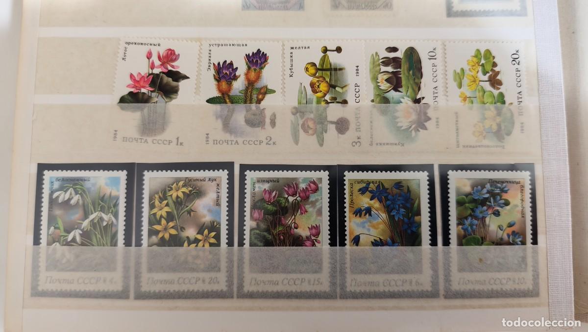 Sellos: LOTE DE 10 SELLOS NUEVOS CCCP RUSIA - FLORA PLANTAS FLORES - LOS DE LA FOTO